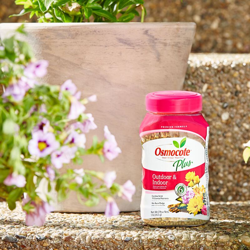 Osmocote Plus – Outdoor & Indoor Plant Food – 1lb